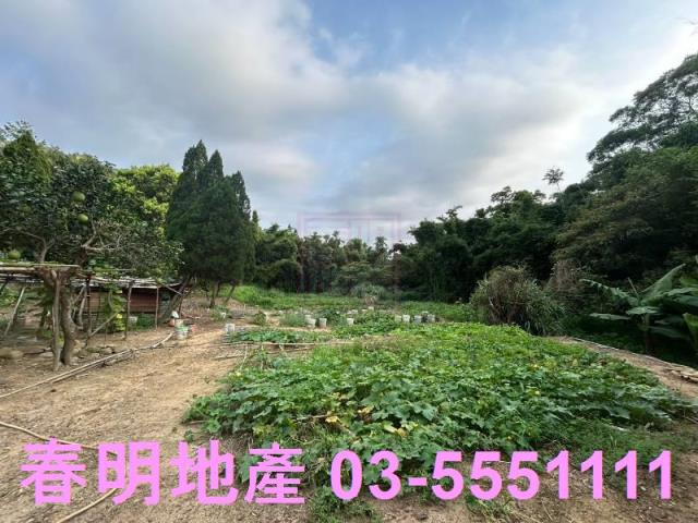 新竹新埔農地-3