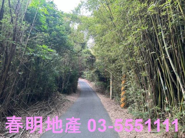 新竹新埔農地-6