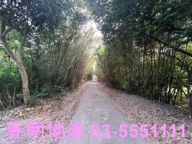 新竹新埔農地-7