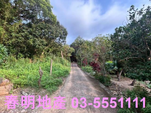 新竹新埔農地-9