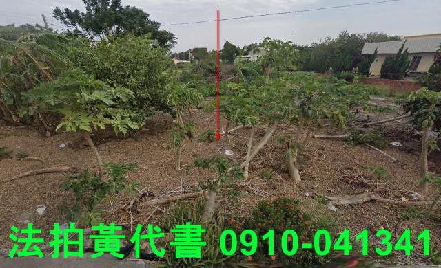 麥寮建地拍賣-1