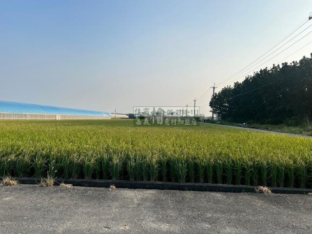 嘉義民雄農地-10