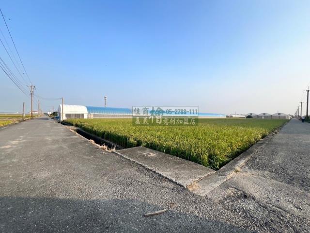 嘉義民雄農地-5