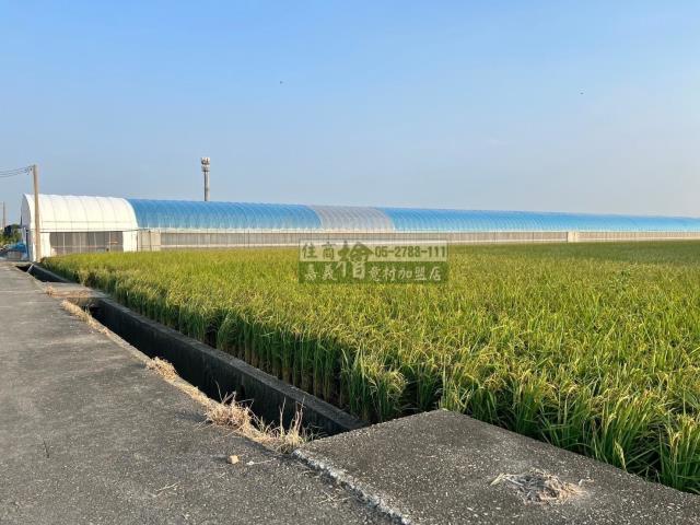 嘉義民雄農地-7