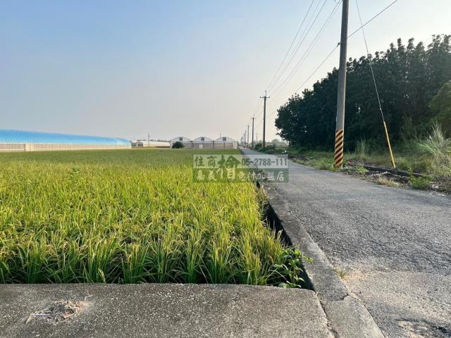 嘉義民雄農地-8