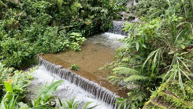 新竹橫山農地-15