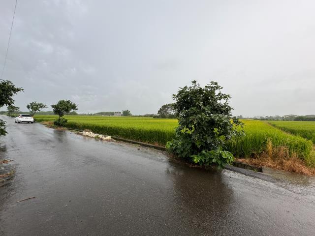 桃園新屋農地-4