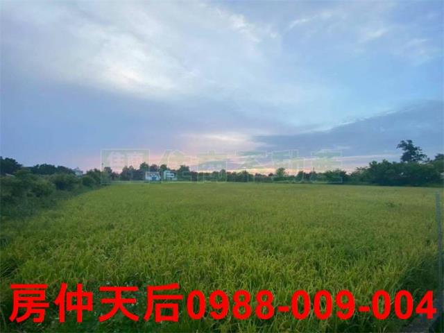 苗栗後龍農地-1