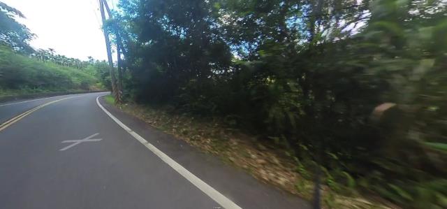 宜蘭大同農地法拍-4