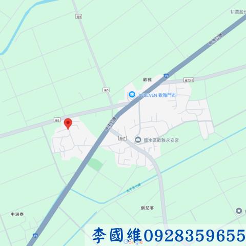 台南鹽水法拍建地-4