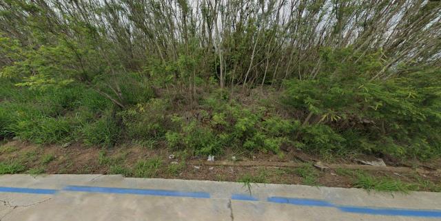 白沙農地拍賣-1