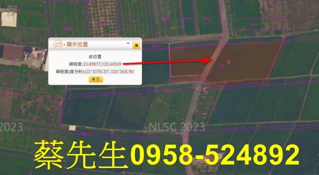 社頭法拍農地-11