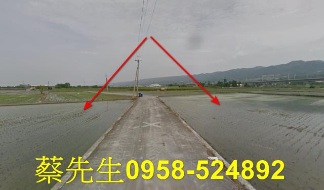 社頭法拍農地-12