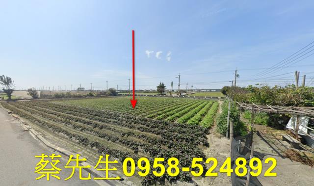 大城農地法拍-7