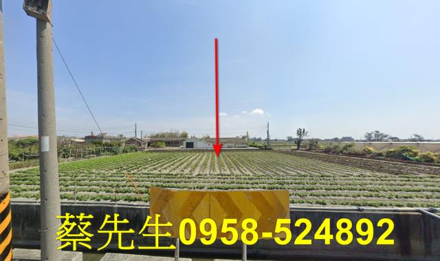 大城農地法拍-9