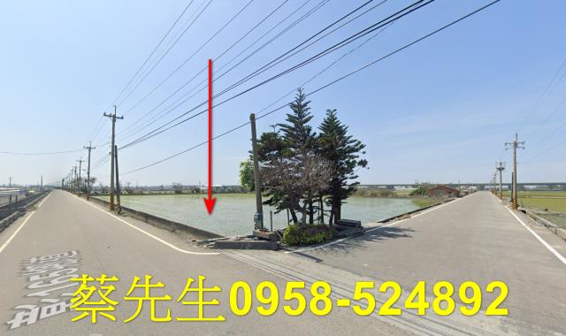 大城農地法拍-13