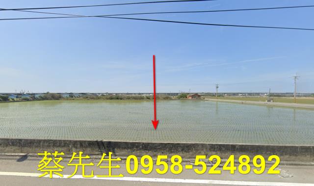 大城農地法拍-6