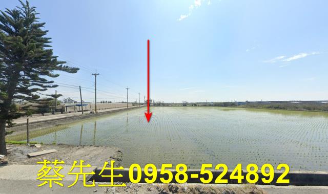 大城農地法拍-9