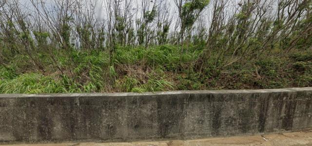 湖西農地法拍-9