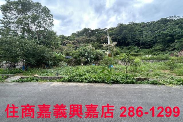 新竹芎林農地-3