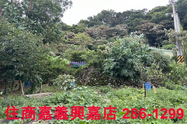 新竹芎林農地-4