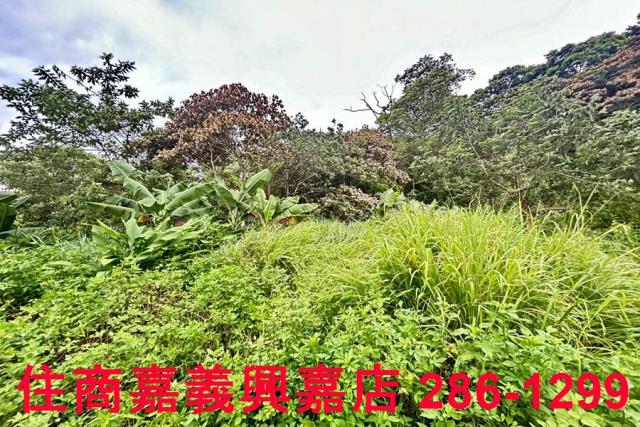 新竹芎林農地-5