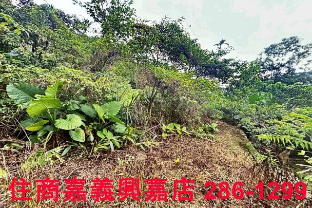 新竹芎林農地-7