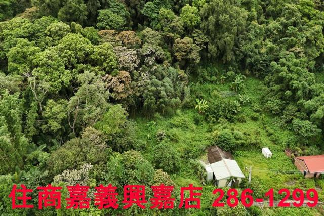 新竹芎林農地-8