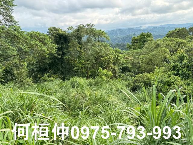 苗栗大湖農地-1