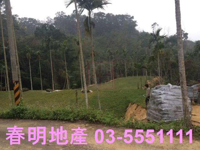 新竹橫山農地-4