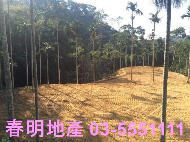 新竹橫山農地-5