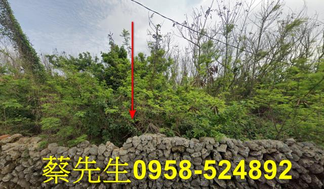澎湖農地法拍-1