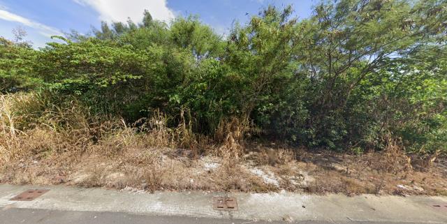 嘉義義竹建地法拍-9