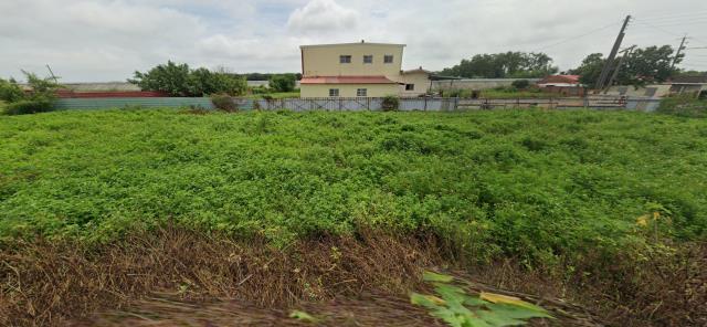 嘉義六腳建地拍賣-1