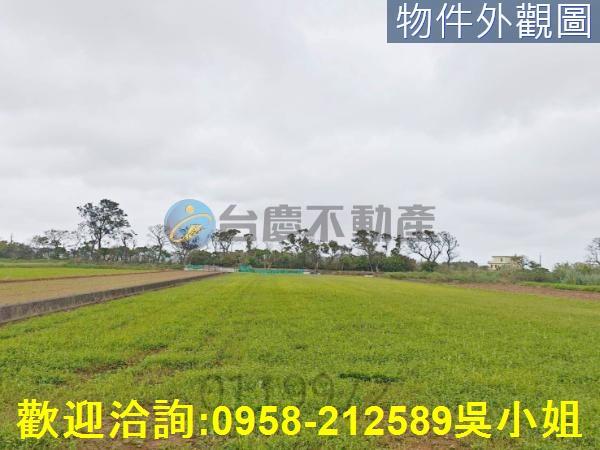 新竹新豐農地-13