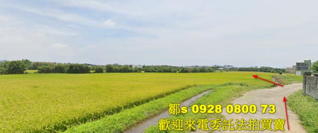 楊梅農地法拍-3