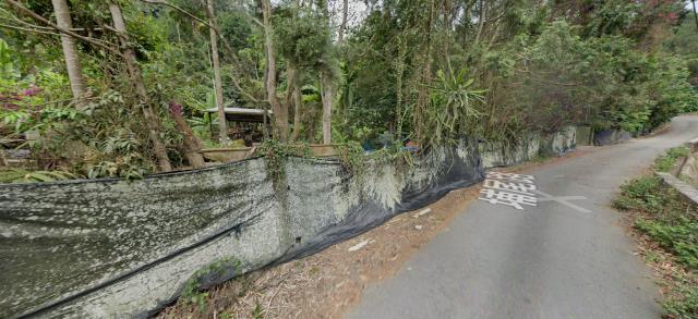 魚池法拍農地-12