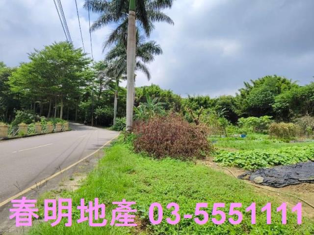 新竹竹東農地-11