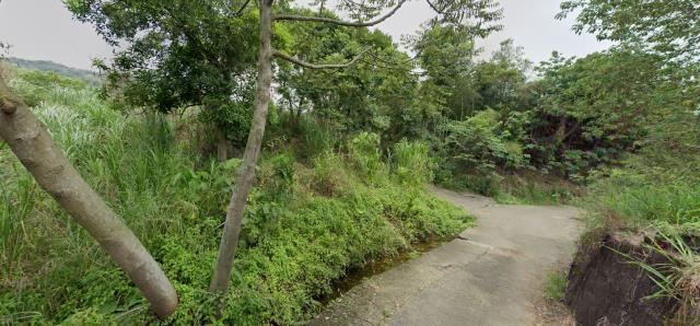 南投名間法拍農地-5