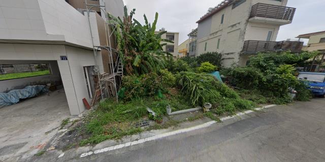 南投法拍建地-9
