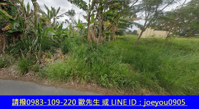 台東法拍農地-11