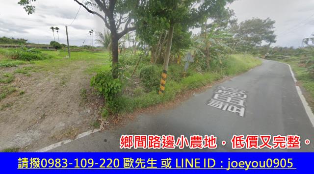 台東法拍農地-3