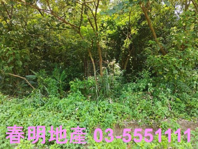 新竹新埔農地-10