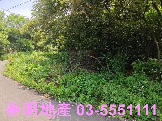 新竹新埔農地-11