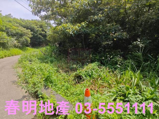 新竹新埔農地-6