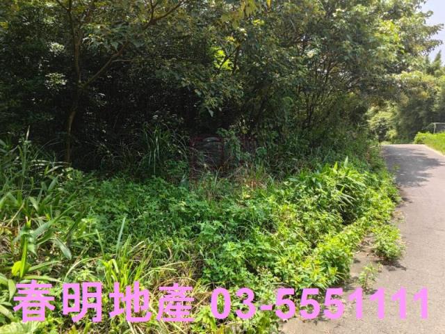 新竹新埔農地-7