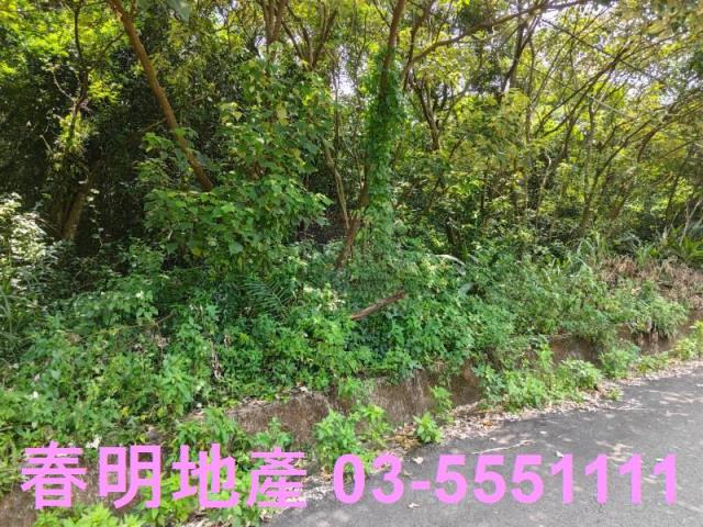 新竹新埔農地-9