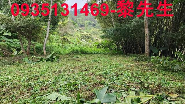 新竹橫山農地-12