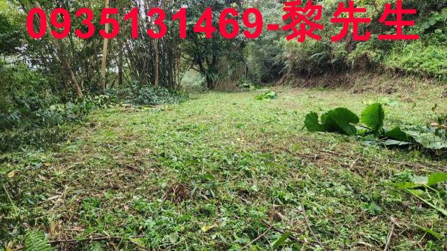 新竹橫山農地-13