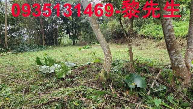 新竹橫山農地-14